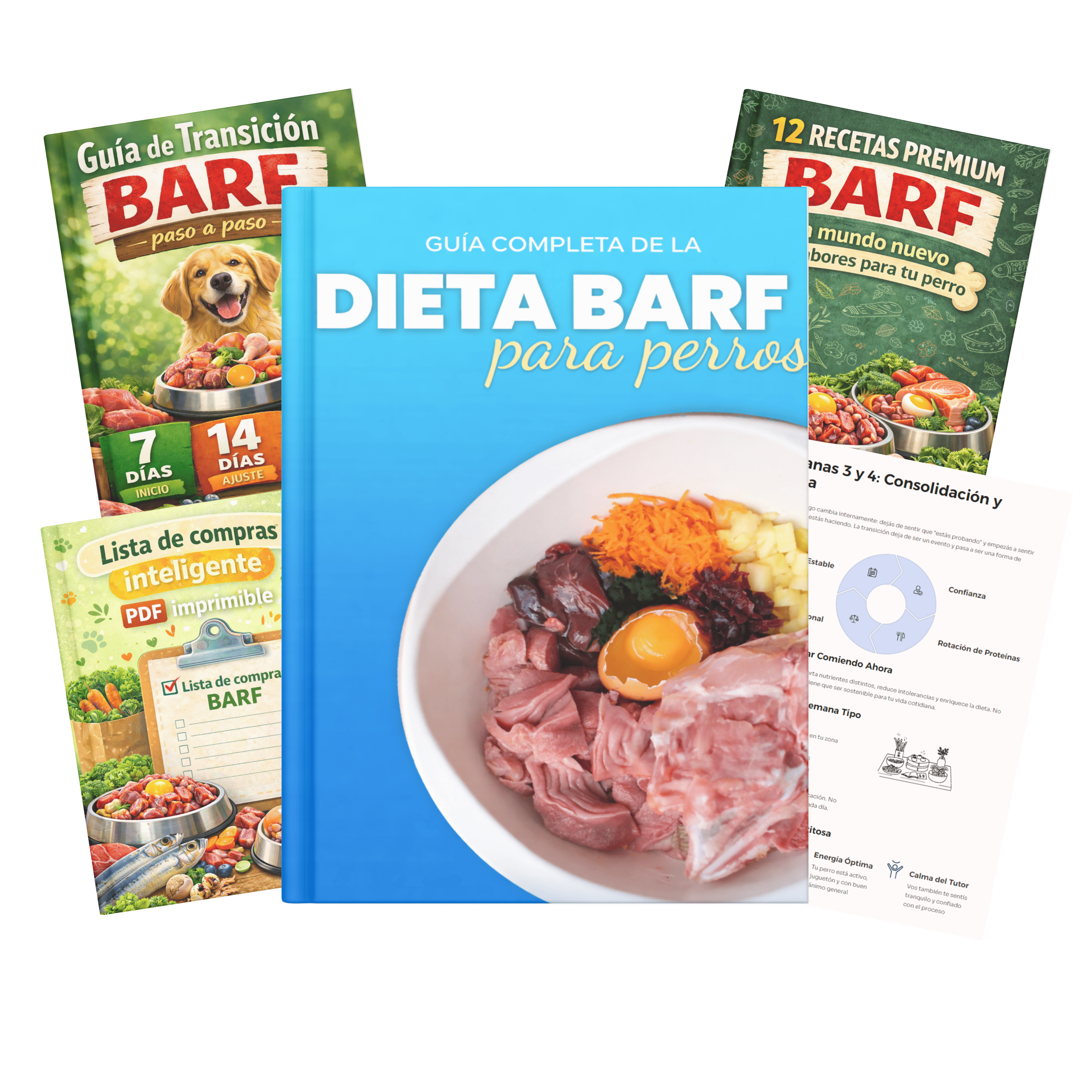 KIT BARF PASO A PASO